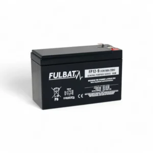 Fulbat_FP12-9_GeneralPurpose_AGM